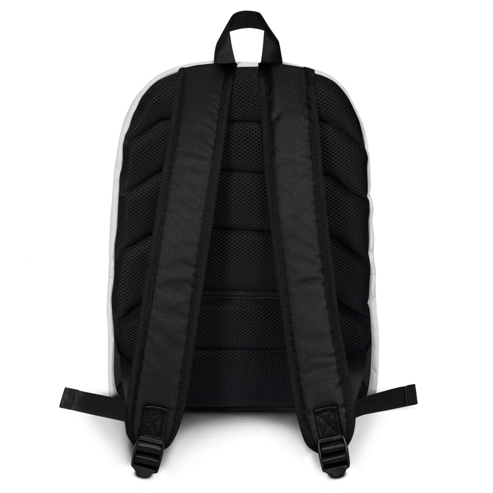 Black backpack shown from the back on a white background