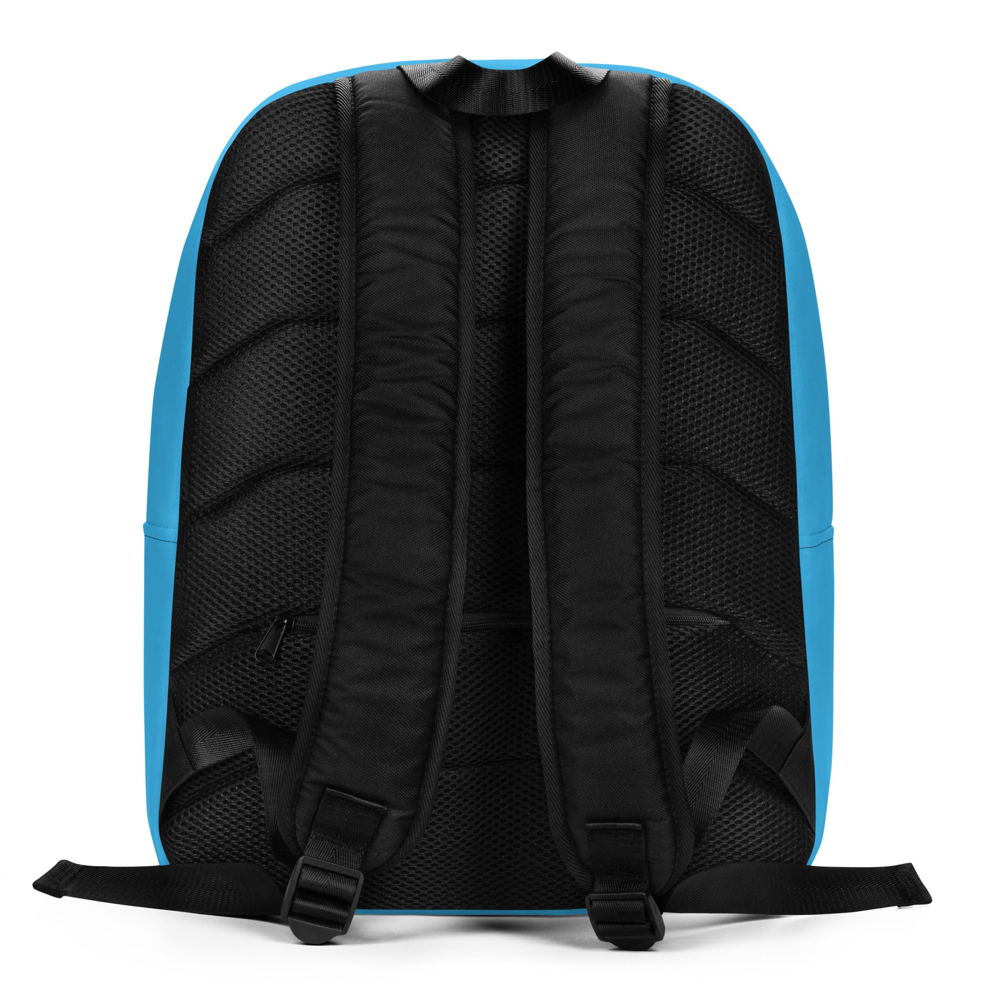Backpack with blue back panel on a white background